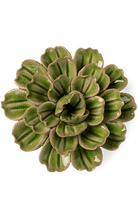 Avocado Green Petunia - Chive UK
