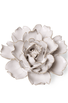 Ivory Rose - Chive UK