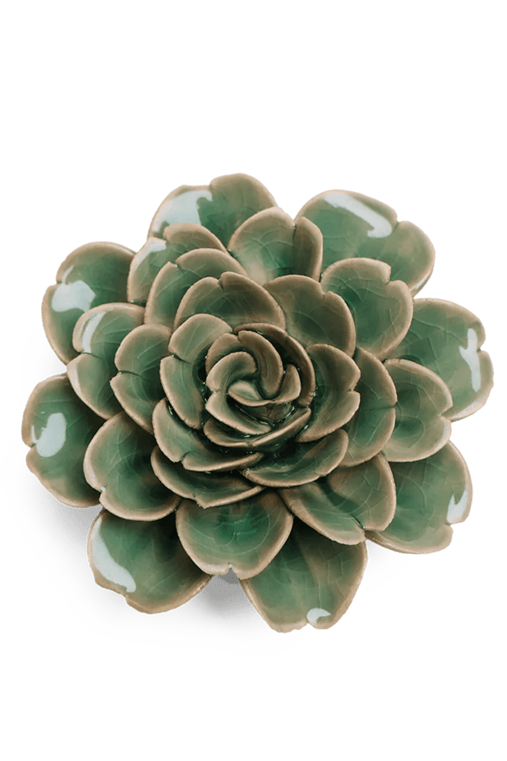 Jungle Green Tea Rose - Chive UK