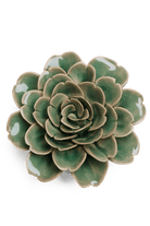 Jungle Green Tea Rose - Chive UK