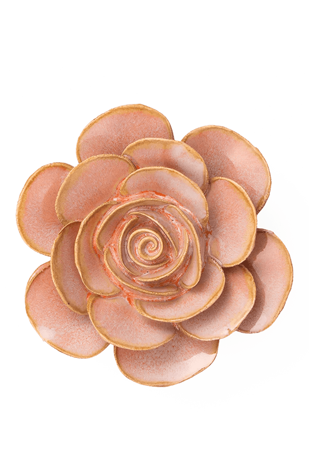 Peach Pink Cloni Ranunculus - Chive UK