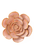 Peach Pink Cloni Ranunculus - Chive UK