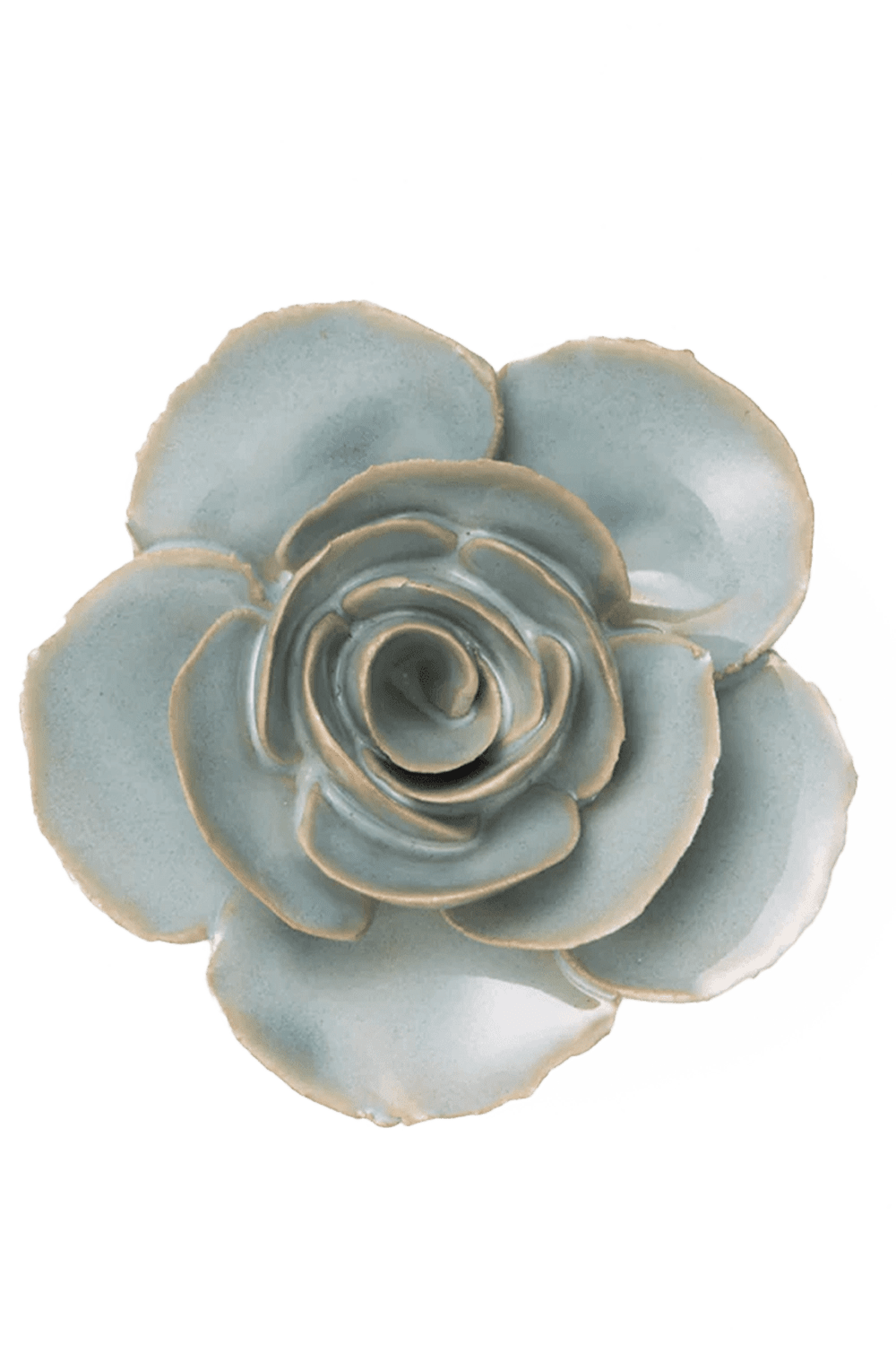 Milk Teal Elegance Ranunculus - Chive UK