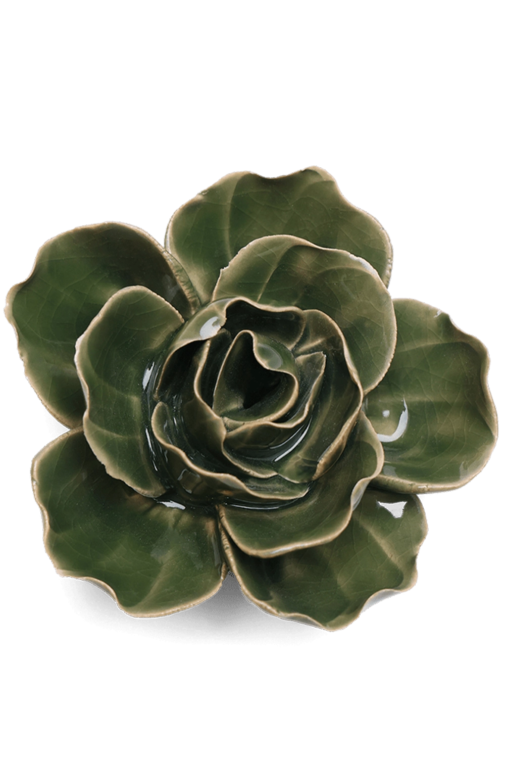 Fir Green - Butterfly Ranunculus -handmade by Chive Studio Toronto