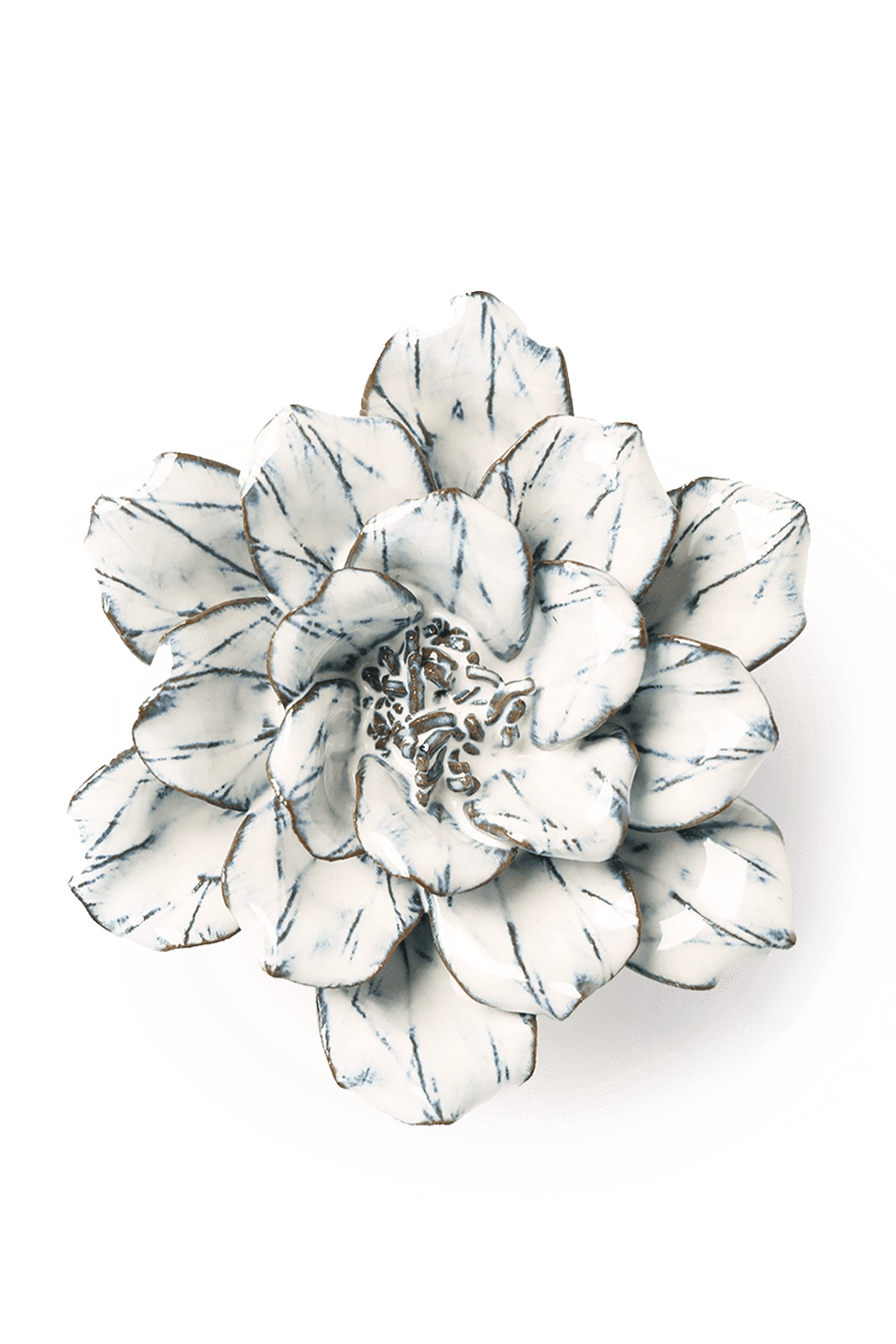 Blue White Cosmos - Chive UK