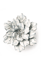 Blue White Cosmos - Chive UK