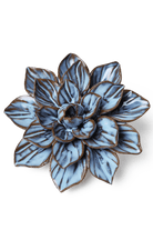 Seasonal Blue Frikartii Aster - Chive UK