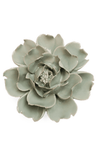 Pistachio Green Rose - Chive UK