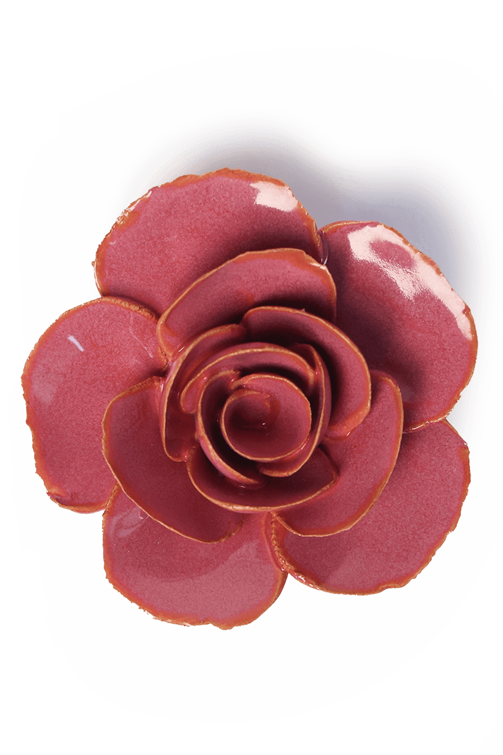 Blush Pink Elegance Ranunculus - Chive UK