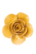 Burnt Yellow Elegance Ranunculus - Chive UK