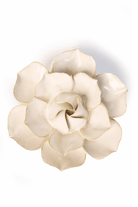 Ivory Daffodil - Chive UK