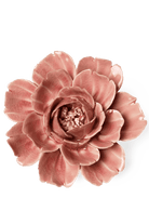 Champagne Pink Rose - Chive UK