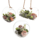 Bolsk Glass Large Hanging Terrarium - Chive UK