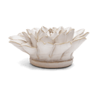 Coastal Ceramic Flower Ivory Dahlia - Chive UK