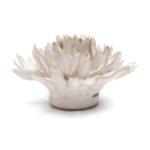 Coastal Ceramic Flower Ivory Spider Mum - Chive UK