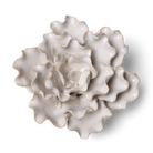 Coastal Ceramic Flower Ivory Sea Lettuce Medium - Chive UK