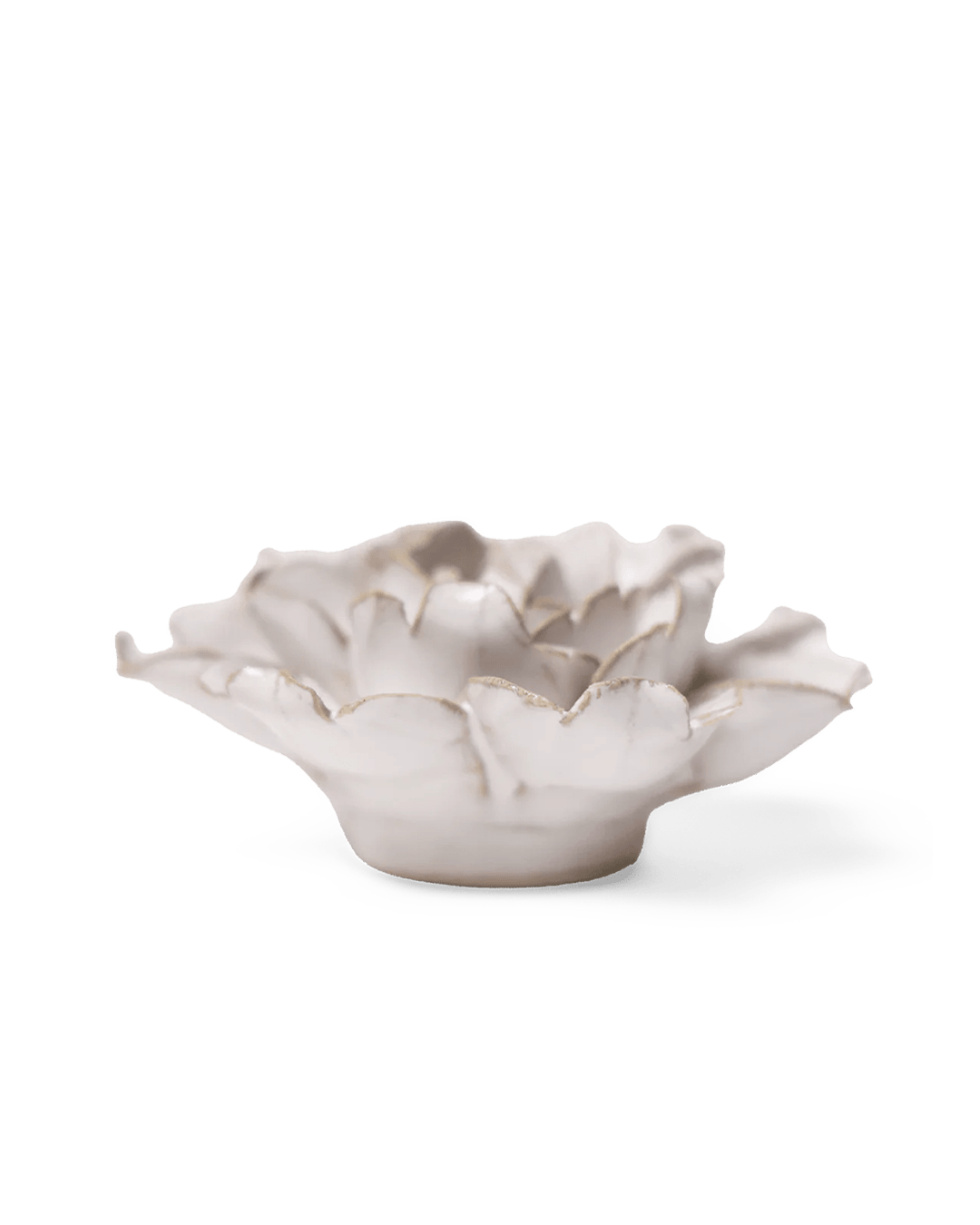 Ivory Rose - Chive UK