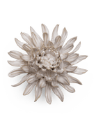 Coastal Ceramic Flower Ivory Spider Mum - Chive UK