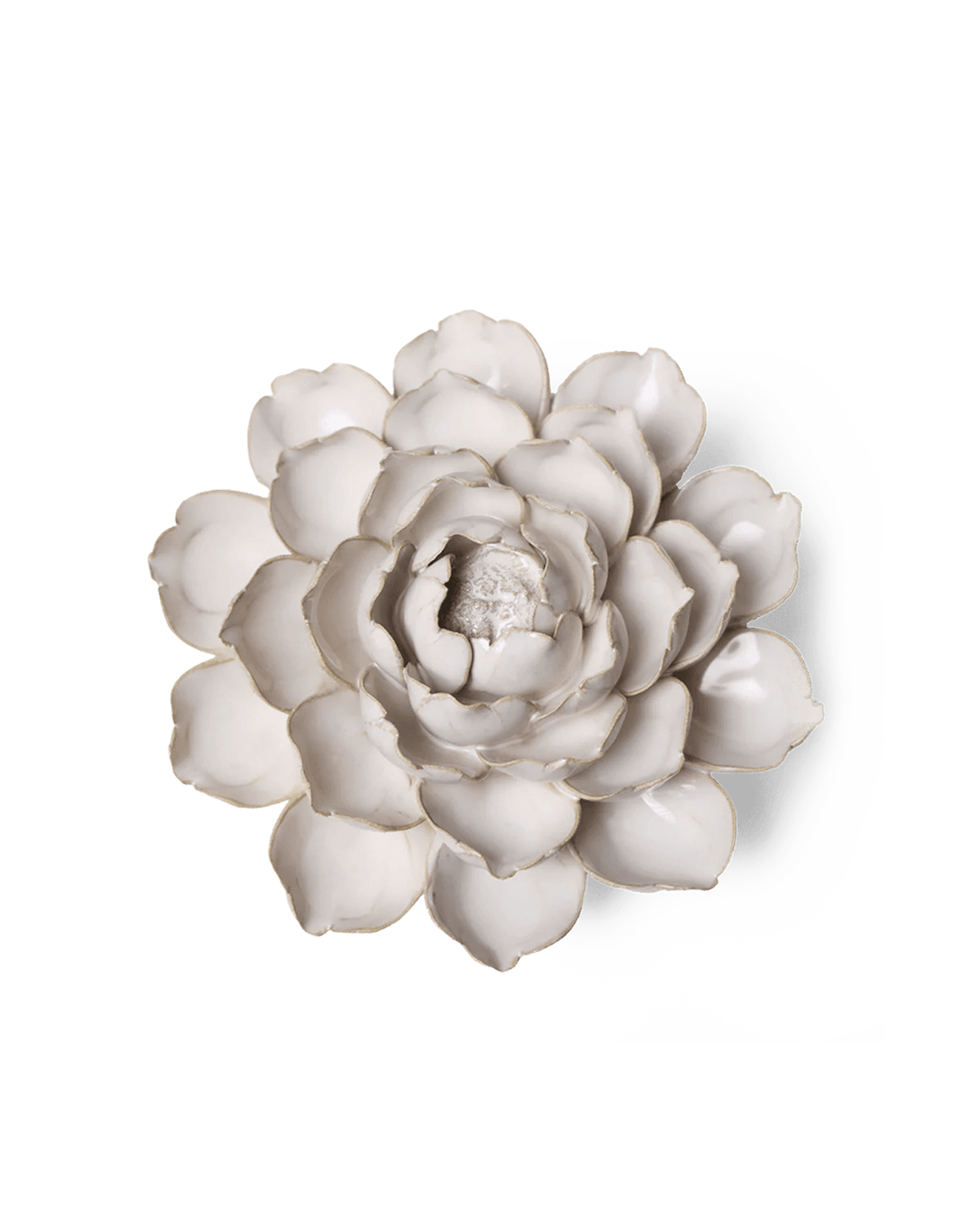 Ivory Empire Cabbage Flower - Chive UK