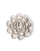 Ivory Empire Cabbage Flower - Chive UK