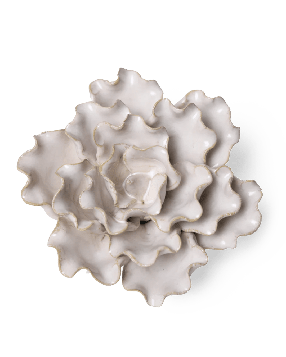 Coastal Ceramic Flower Ivory Sea Lettuce Medium