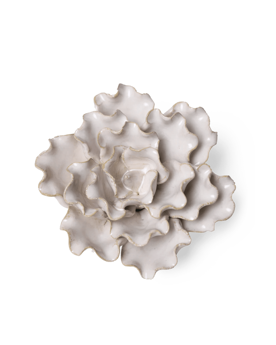 Ivory Sea Lettuce Medium - Chive UK