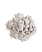 Ivory Sea Lettuce Medium - Chive UK