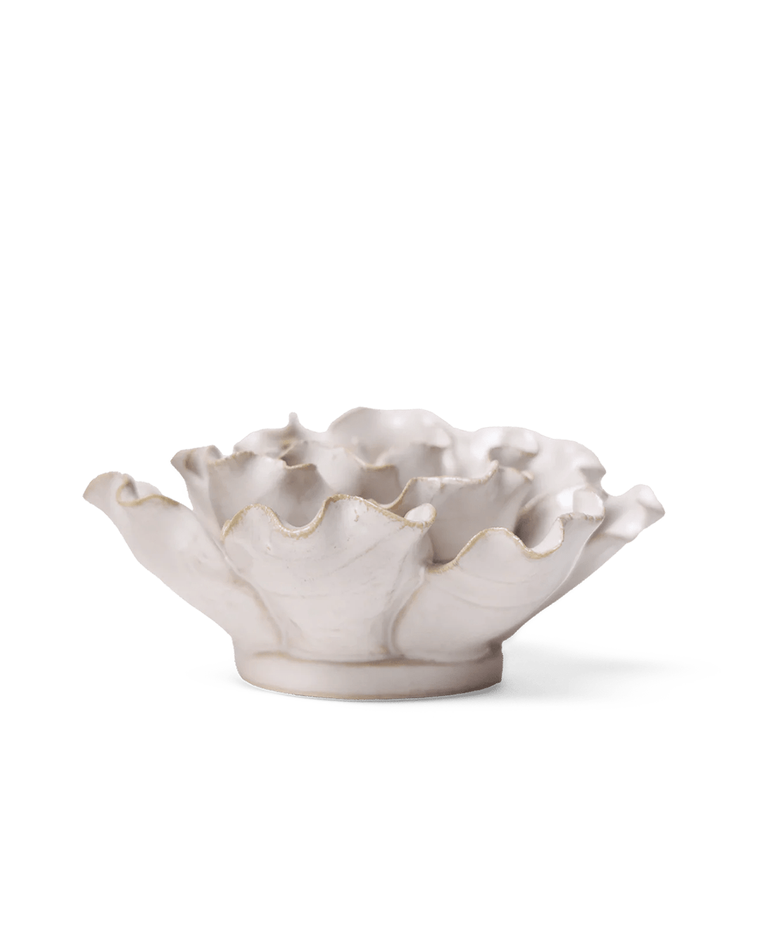 Ivory Sea Lettuce Medium - Chive UK