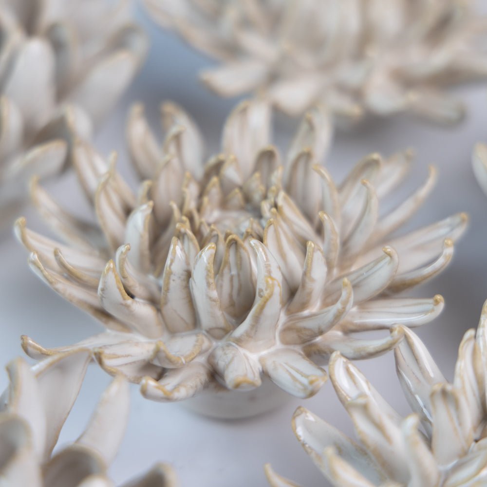 Ceramic Flower Coastal Curated Collection #5 - Chive UK