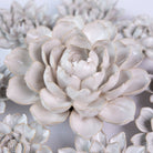 Ceramic Flower Coastal Curated Collection #7 - Chive UK