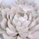 Ceramic Flower Coastal Curated Collection #7 - Chive UK