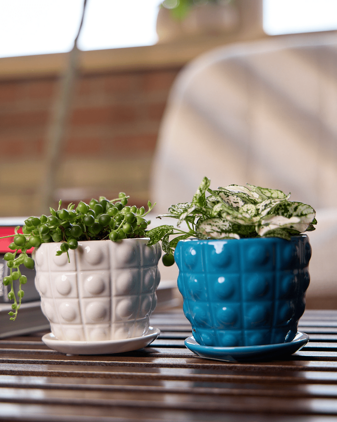 Convex Ceramic Pot With Drainage Hole And Saucer - Chive UK