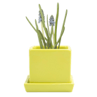 Cube & Saucer Ceramic Pot With Drainage Hole - Chive UK