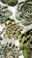 Leeds - Ceramic Flower Curated Set - Chive UK