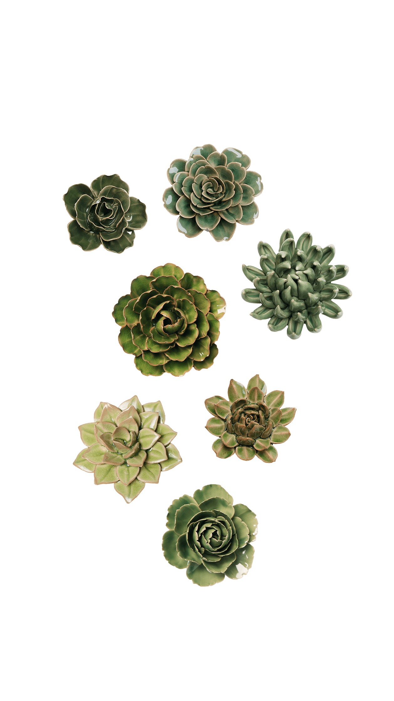 Leeds - Ceramic Flower Curated Set - Chive UK