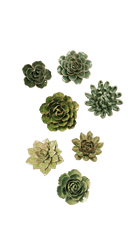 Leeds - Ceramic Flower Curated Set - Chive UK