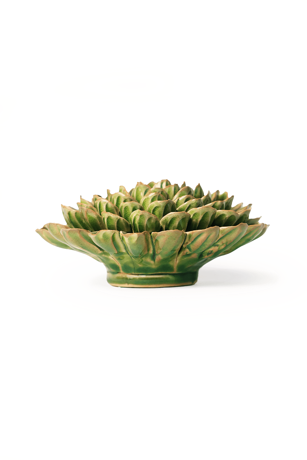 Avocado Green Unicorn Zinnia - Chive UK