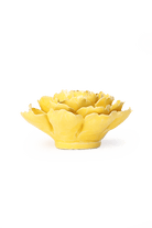 Buttercup Yellow Gay Paree Peony - Chive UK