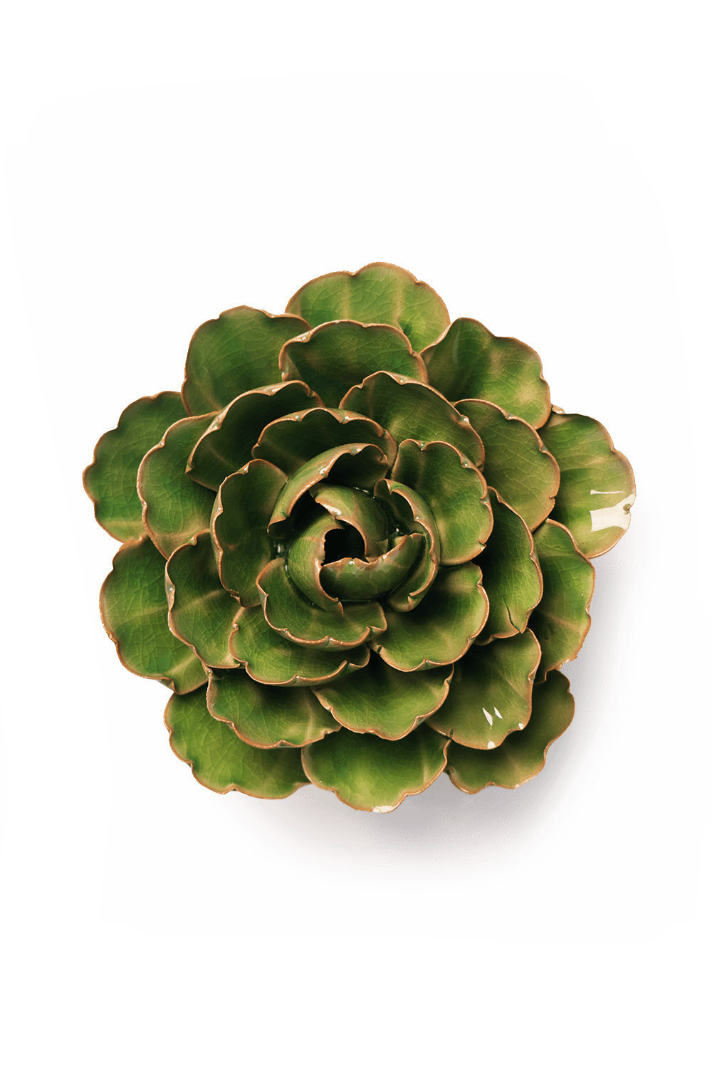 Avocado Green Keiko Peony - Chive UK