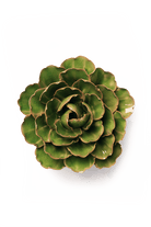 Avocado Green Keiko Peony - Chive UK