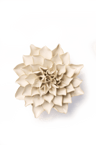 Ivory Autumn Azalea - Chive UK