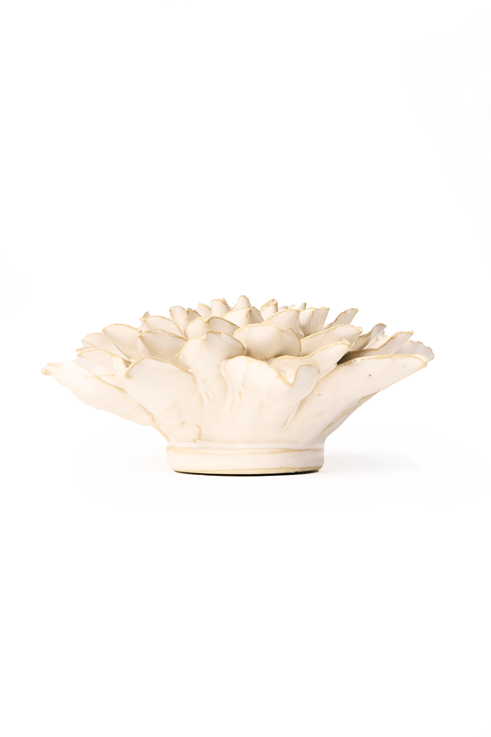 Ivory Autumn Azalea - Chive UK