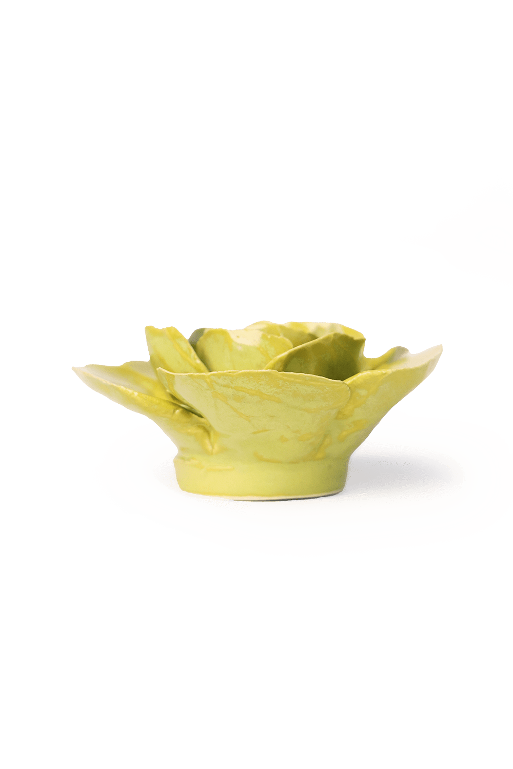 Peridot Stargazer Lily - Chive UK