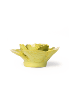 Peridot Stargazer Lily - Chive UK