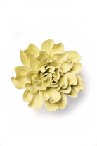 Lime Yellow Larkspur - Chive UK