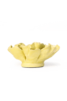 Lime Yellow Larkspur - Chive UK