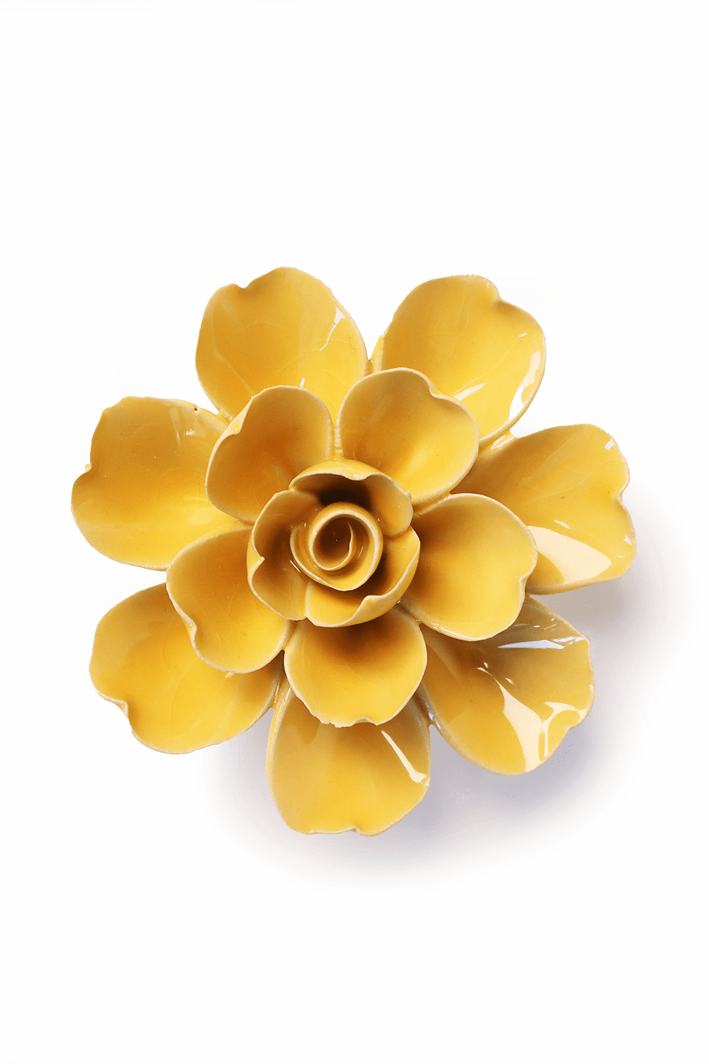 Burnt Yellow Tahitian Gardenia - Chive UK