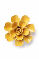 Burnt Yellow Tahitian Gardenia - Chive UK