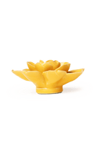 Burnt Yellow Tahitian Gardenia - Chive UK