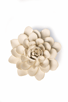 Ivory Snowdrop - Chive UK